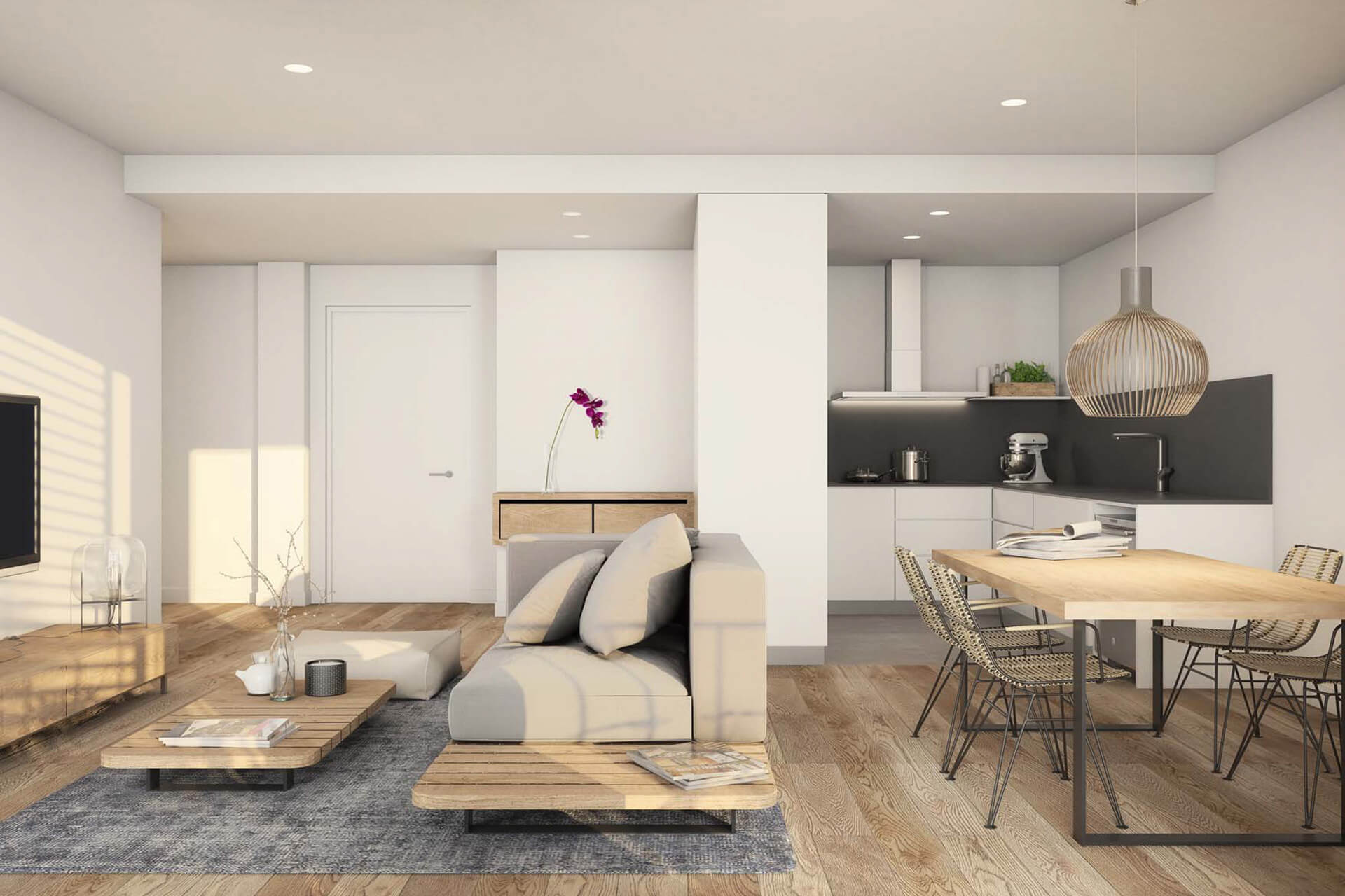 mare-de-deu-del-coll-106-salon-comedor-cocina-armat-habitat